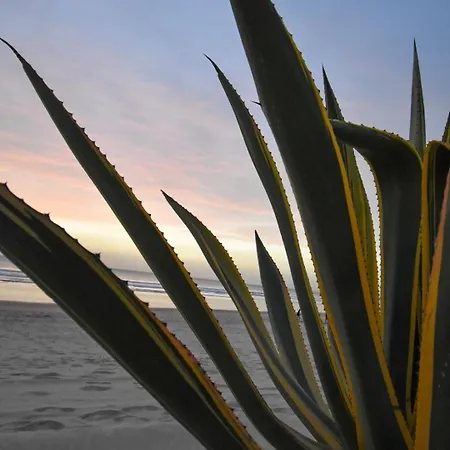 Rocks Spot B شقة كوستا دا كاباريكا