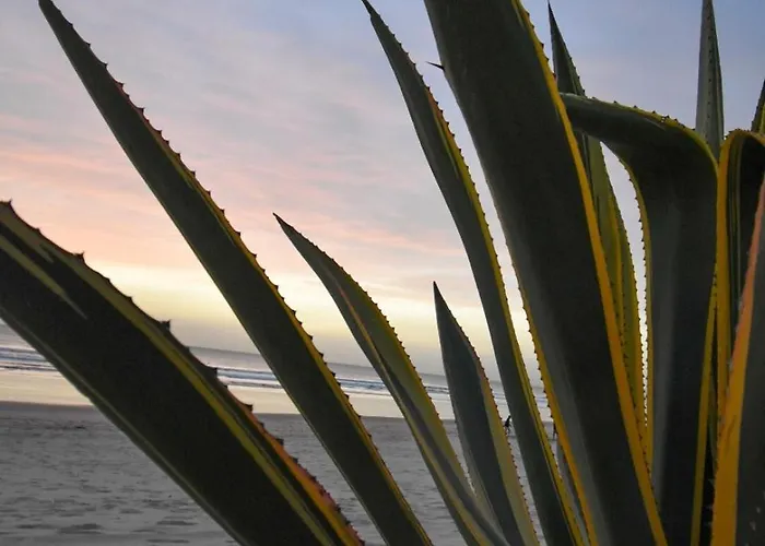 Rocks Spot B Appartamento Costa da Caparica